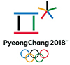 2018 평창 동계올림픽대회 및 동계패럴림픽대회 조직위원회